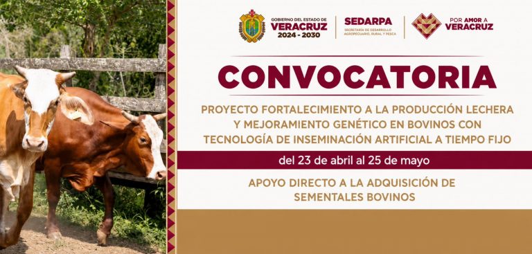 Convocatoria Sector Ganadero