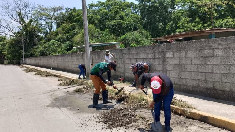 Limpieza en Álamo