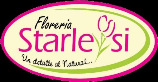 Logotipo de FLORERIA STARLEYSI